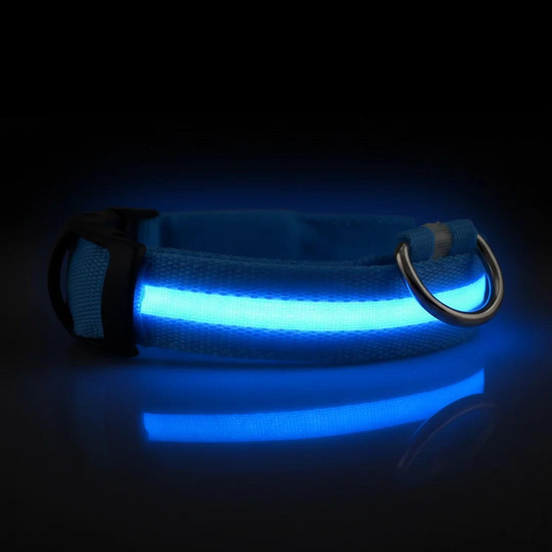 SafeLight