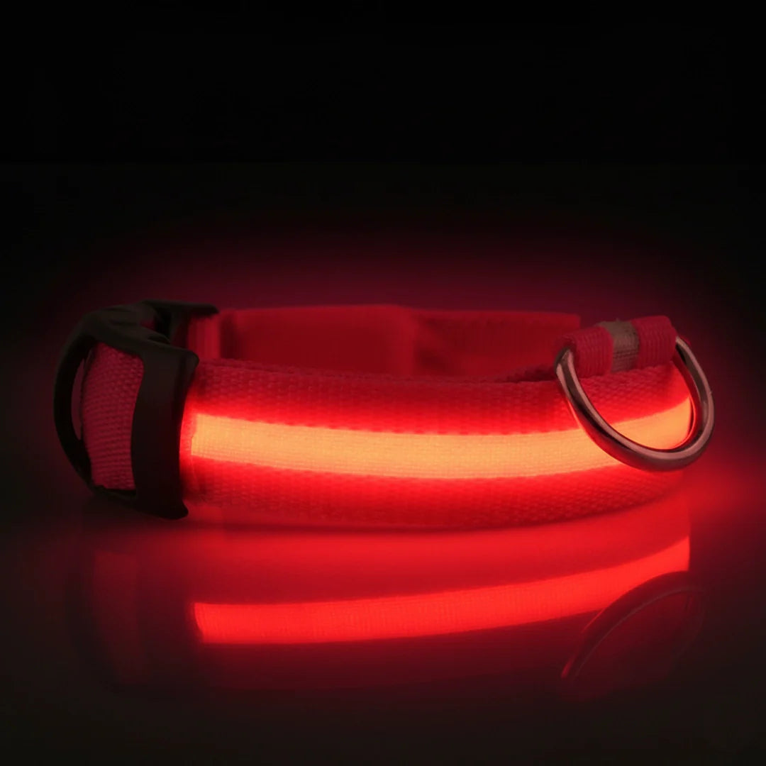 SafeLight