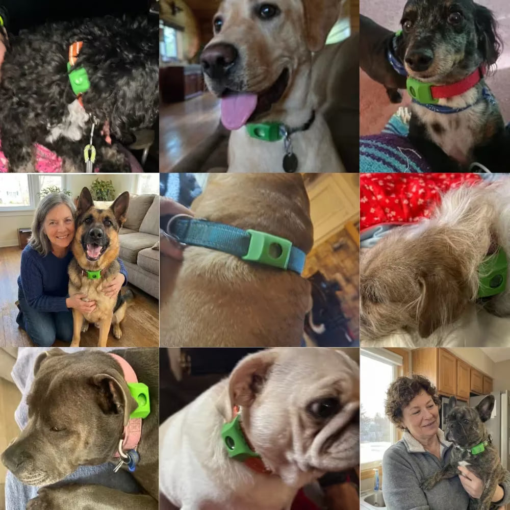 Schutzanhänger für Hunde gegen Flöhe & Zecken – 12 Monate natürlicher Schutz